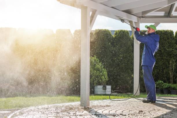 Best Spring Cleaning  in Roscommon, MI