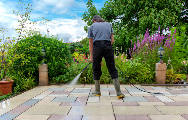 Animal Enclosure Cleaning in Roscommon, MI